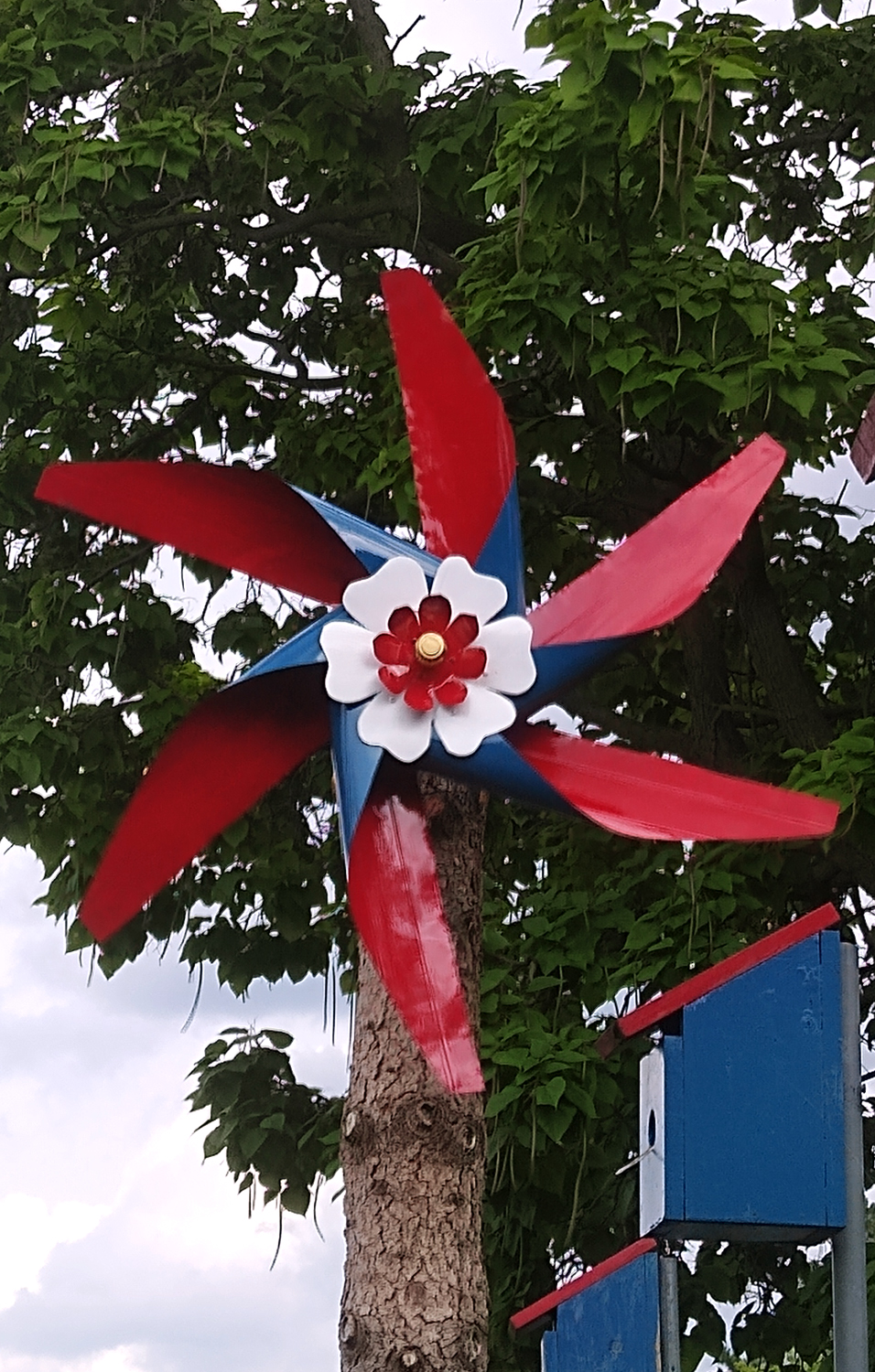 pinwheel photo